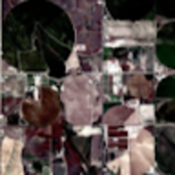 Meet your Posher, Michael - Picture 1 of 1